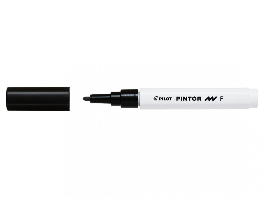 Pilot Pintor Black SW PT F