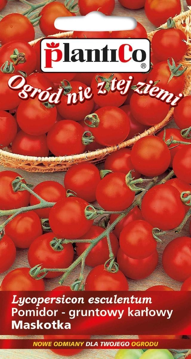 Plantico Tomato Land Solanum Lycopersicum L