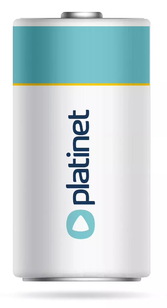 Platinet Battery Type LR14 (2 pack)
