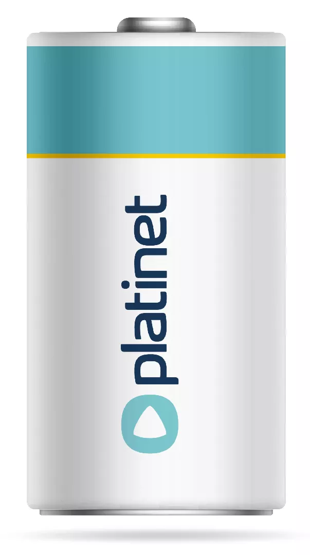 Platinet Battery Type LR20 (2 pack)