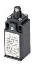Room Limit switch PAP1T13PW02 single-position A37-1034