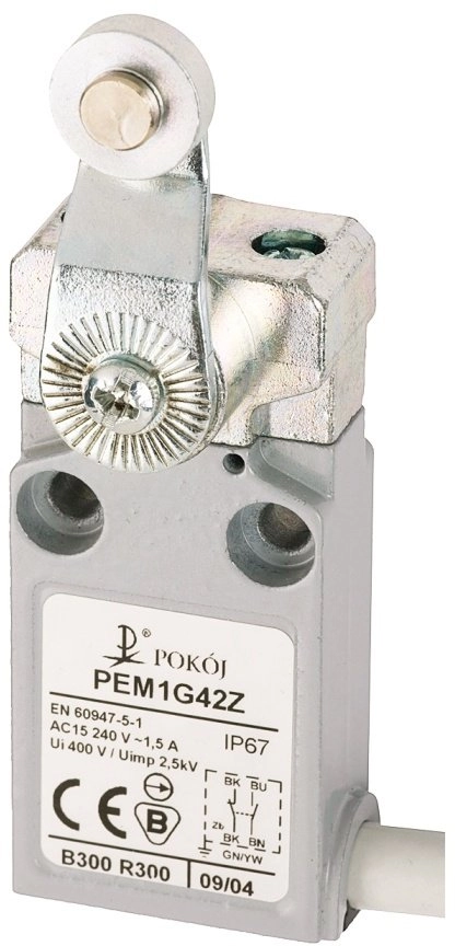 Limit switch 1R 1Z snap action