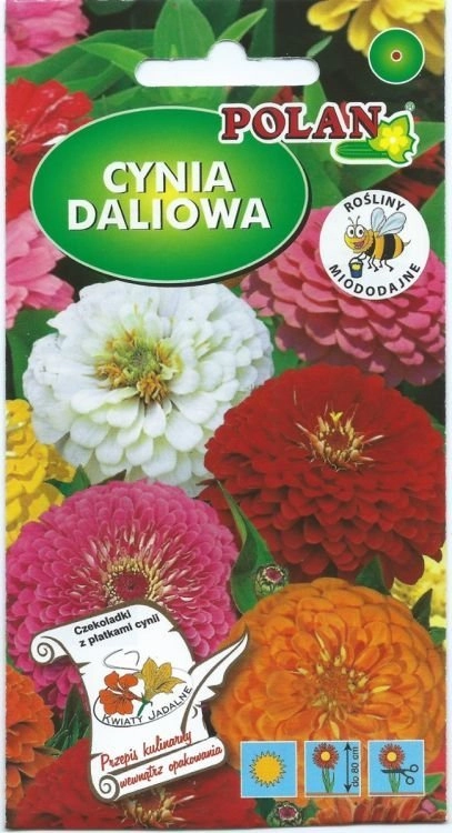 Polan PLATINET DALI ZINNIA SEEDS ZINNIA