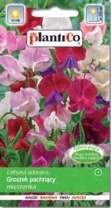 Polan PLATINET SEEDS Scented peas SWEET