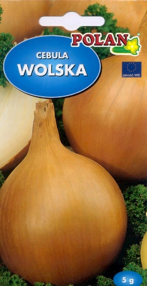 Polan Onions Wolska Seeds 5g Polan