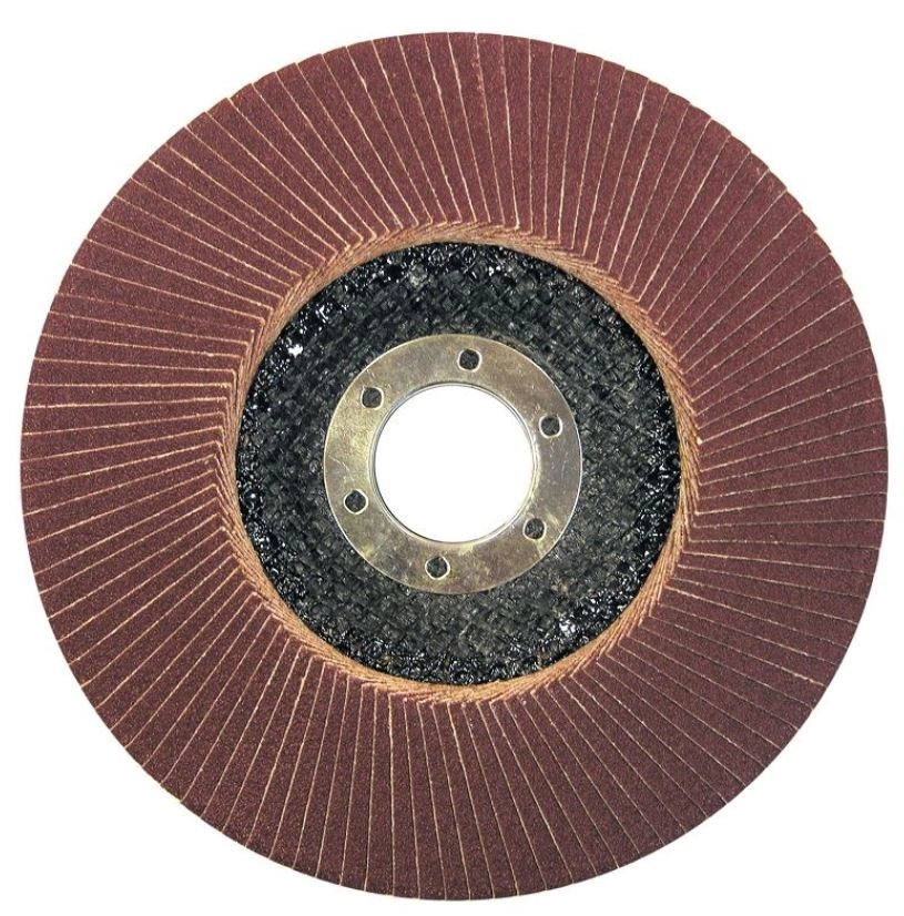 Pro-Line Ściernica listkowa talerzowa 125mm granulacja