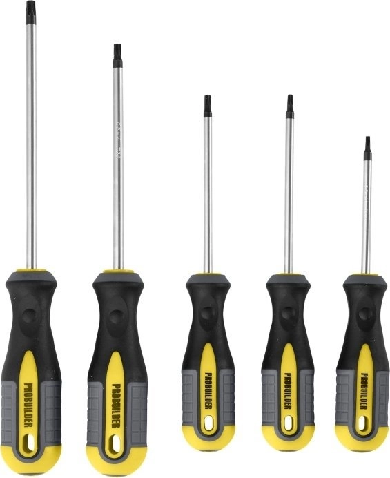 PROBUILDER - SCREWDRIVER SET TORX 5