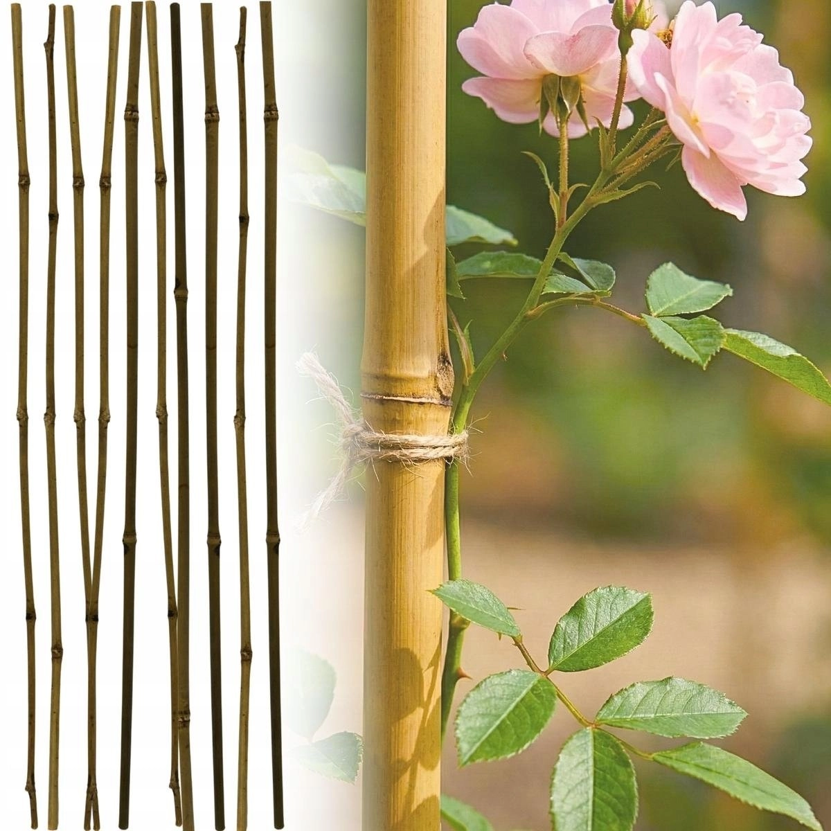 ProGarden PLANT SUPPORT BAMBOO POLE 60