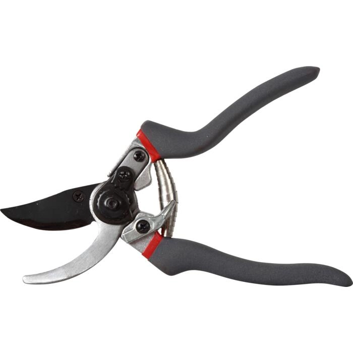 Proline Tools 40015 dzīvžogu šķēres 40015