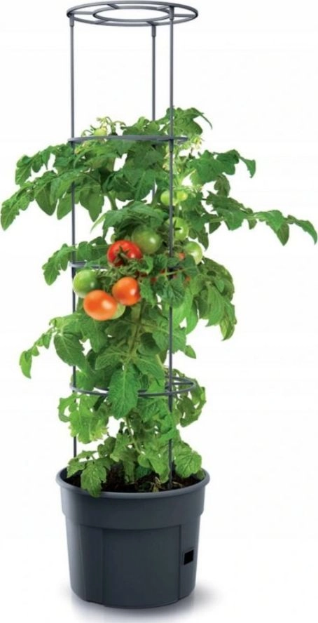 FLOWER POT TOMATO GROWER IPOM400-S433 (