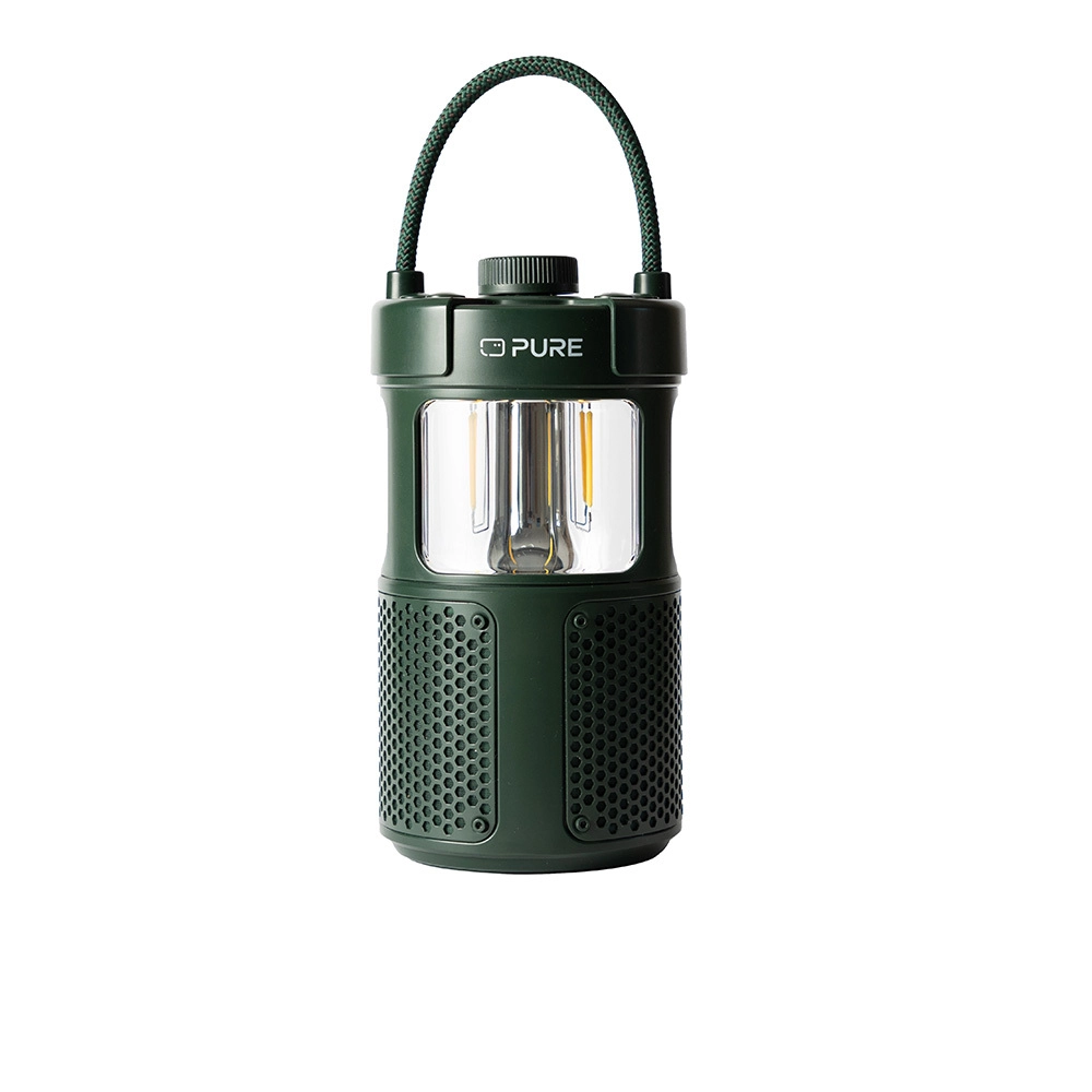 Pure 252584 portable/party speaker Green 20