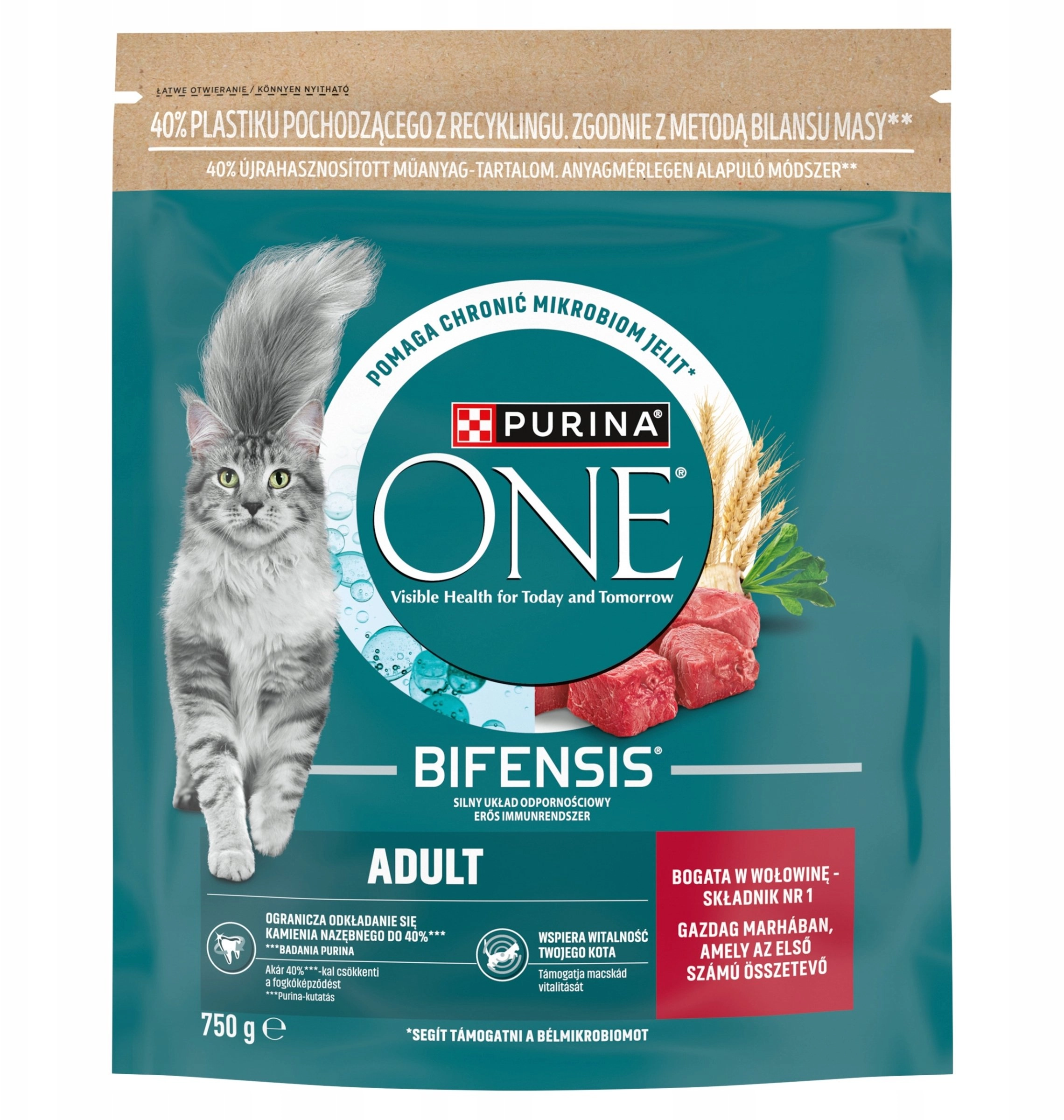 Purina ONE Ad Rich in Beef