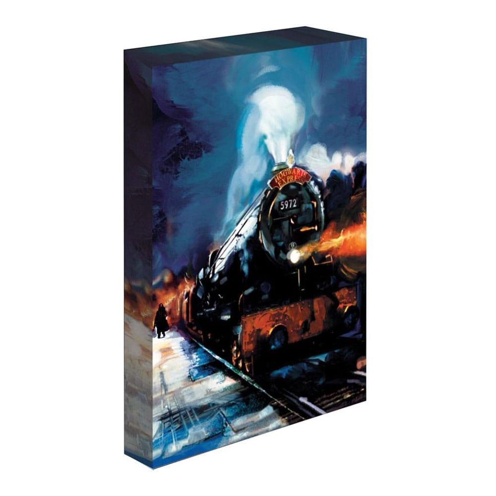 Light Up Canvas Harry Potter (Hogwarts