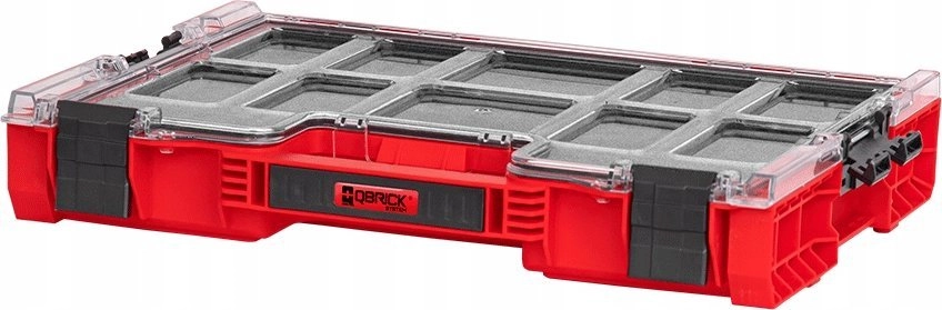 Organizer with foam filling [ORGQPRO200FCZEPG003  System
