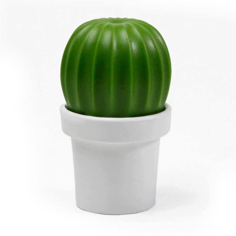 Qualy spice grinder Tasty Cactus salt