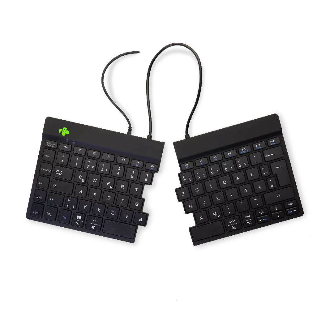 R-Go Tools RGOSP-DEWIBL tastatūra Universāls USB QWERTZ Vācu Melns