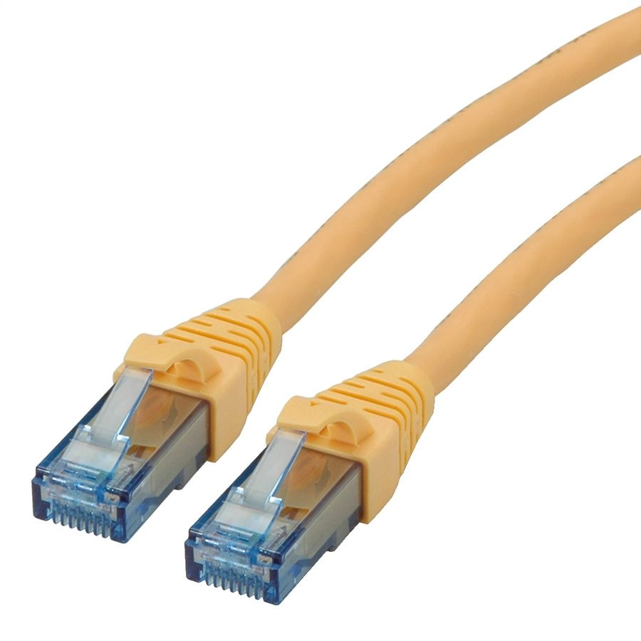 ROLINE Cat6a 1.5m networking cable