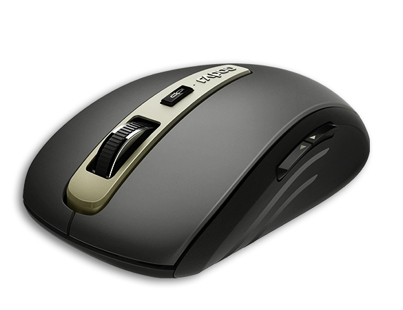 Rapoo MT350 mouse Office Ambidextrous RF