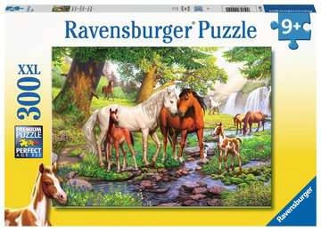Ravensburger 12904 puzzle Contour puzzle 300