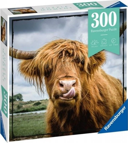 Ravensburger Puzle 300 elementów Momenty  Szkocka