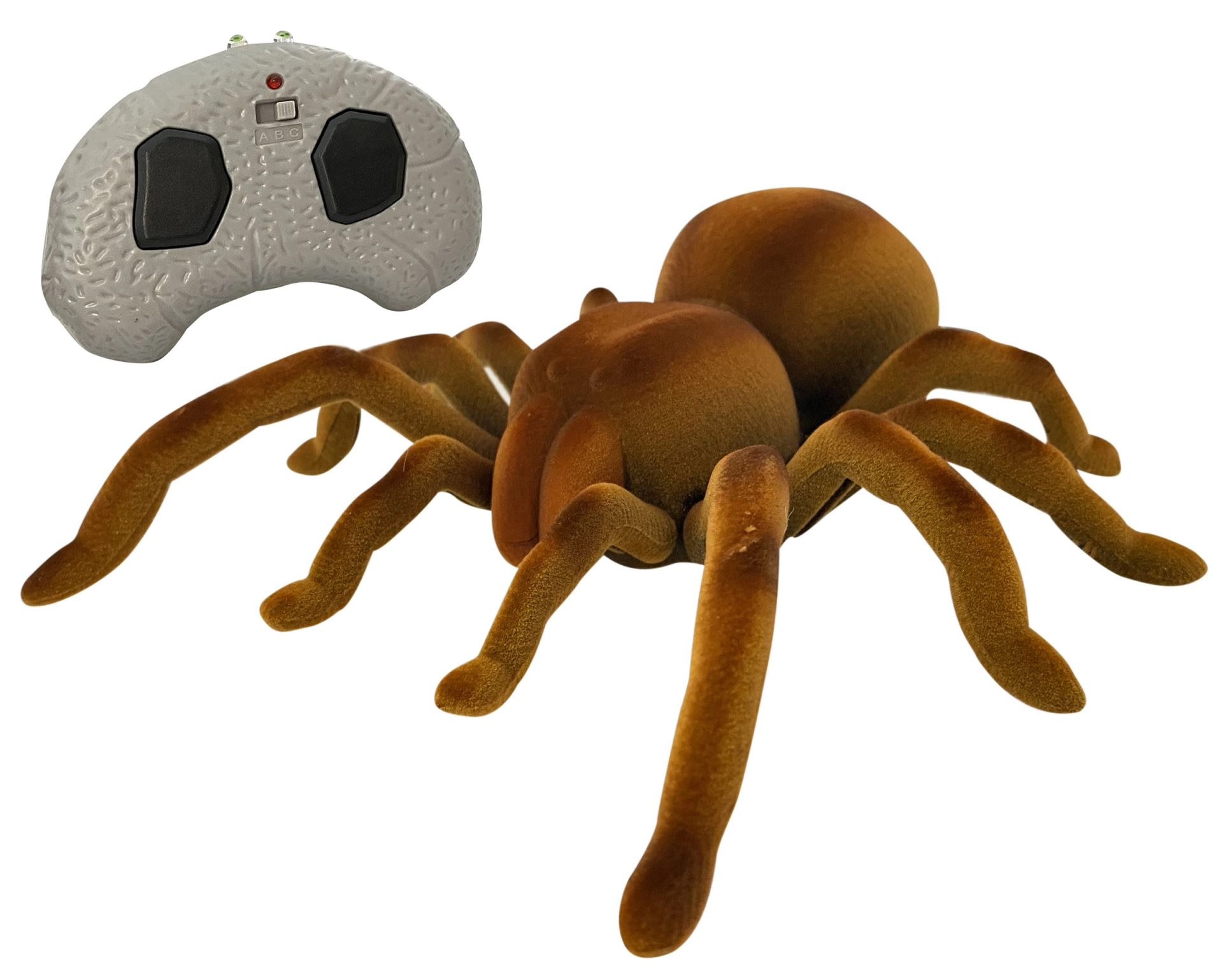Real Wild - Giant Tarantula Spider