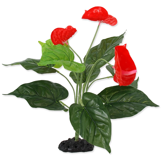 Repti Planet 007-55102 reptile/amphibian habitat decor