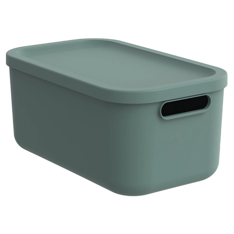 Storage box Albula 12L with lid
