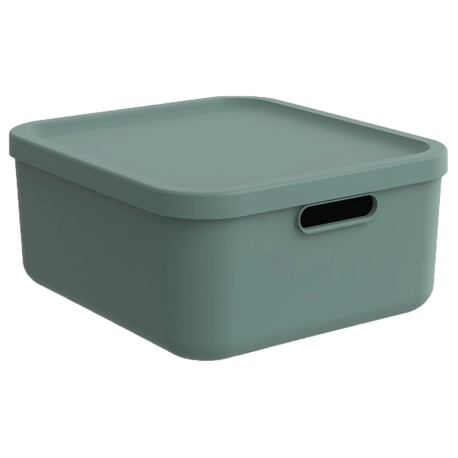 Storage box Albula 20L with lid