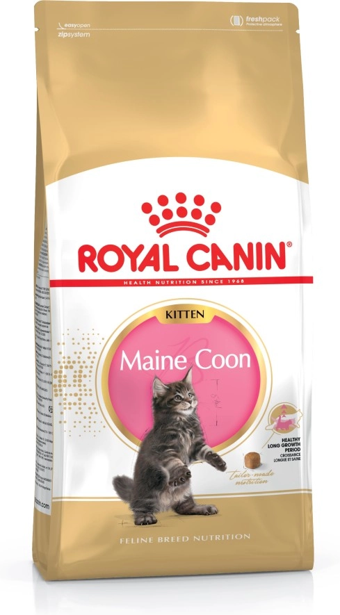 Royal Canin Maine Coon Kitten cats