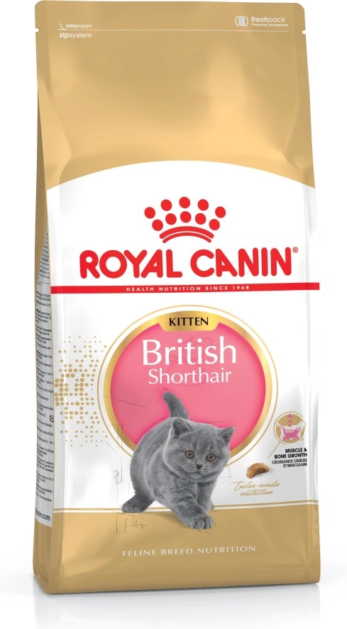 Royal Canin British Shorthair Kitten cats
