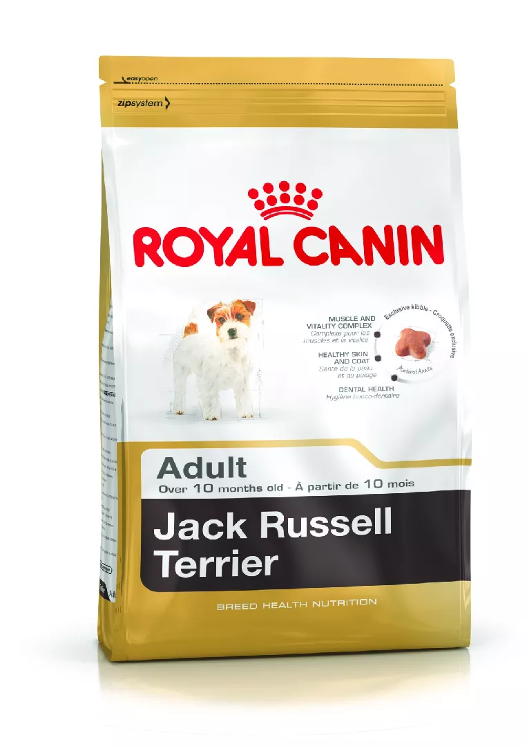 Royal Canin Jack Russell Adult 1