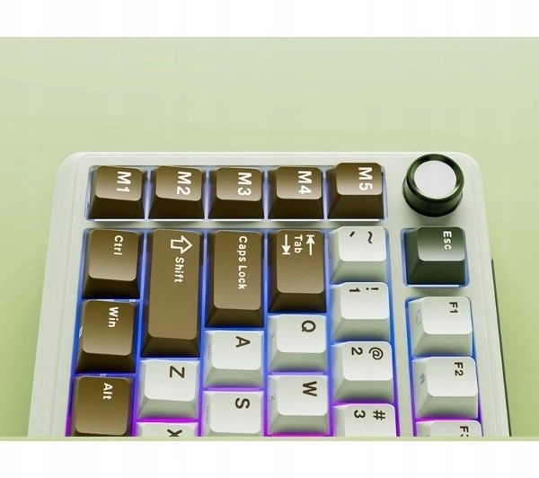 L75 Palm Green Beige Switch (EN)
