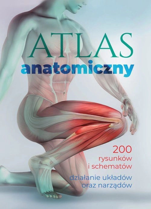 SBM Atlas anatomiczny 70651A05379KS 9788383480930