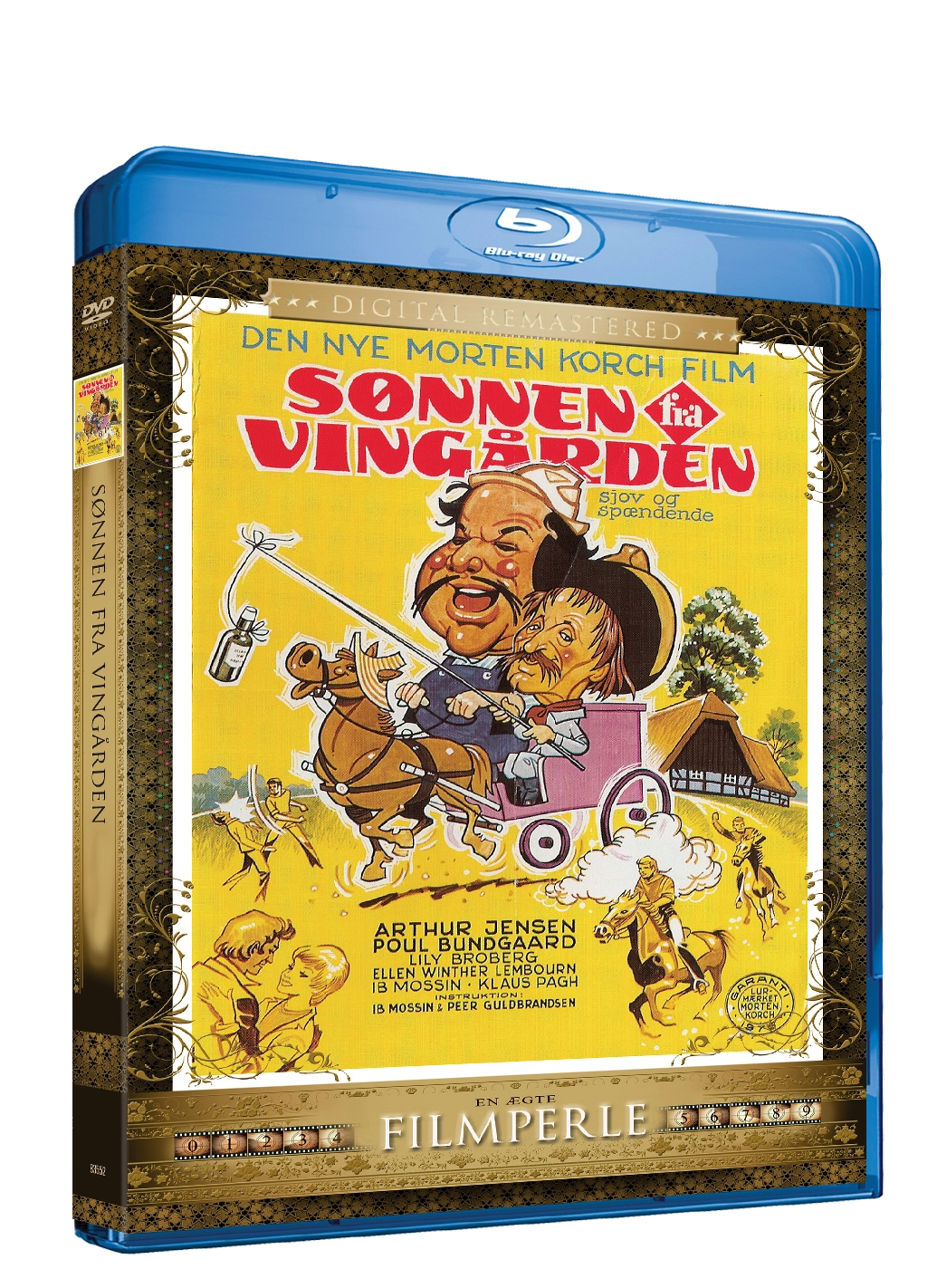 The son from the vineyard (Morten