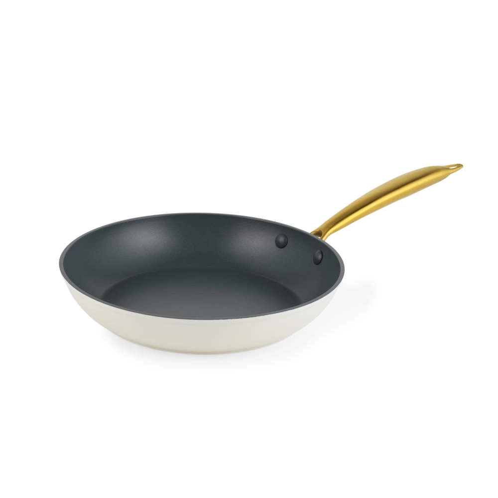 Salter BW14598 Aerotech Professional 24cm Fry