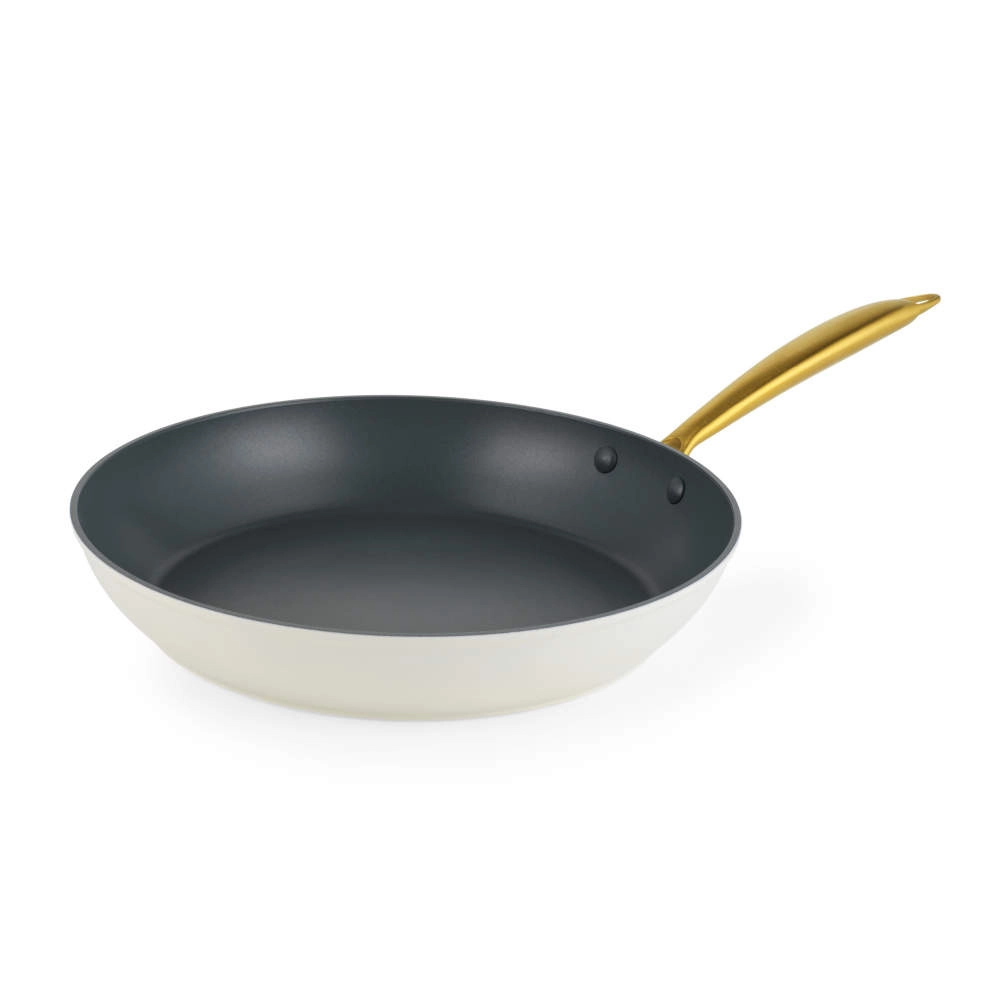 Salter BW14599 Aerotech Professional 28cm Fry