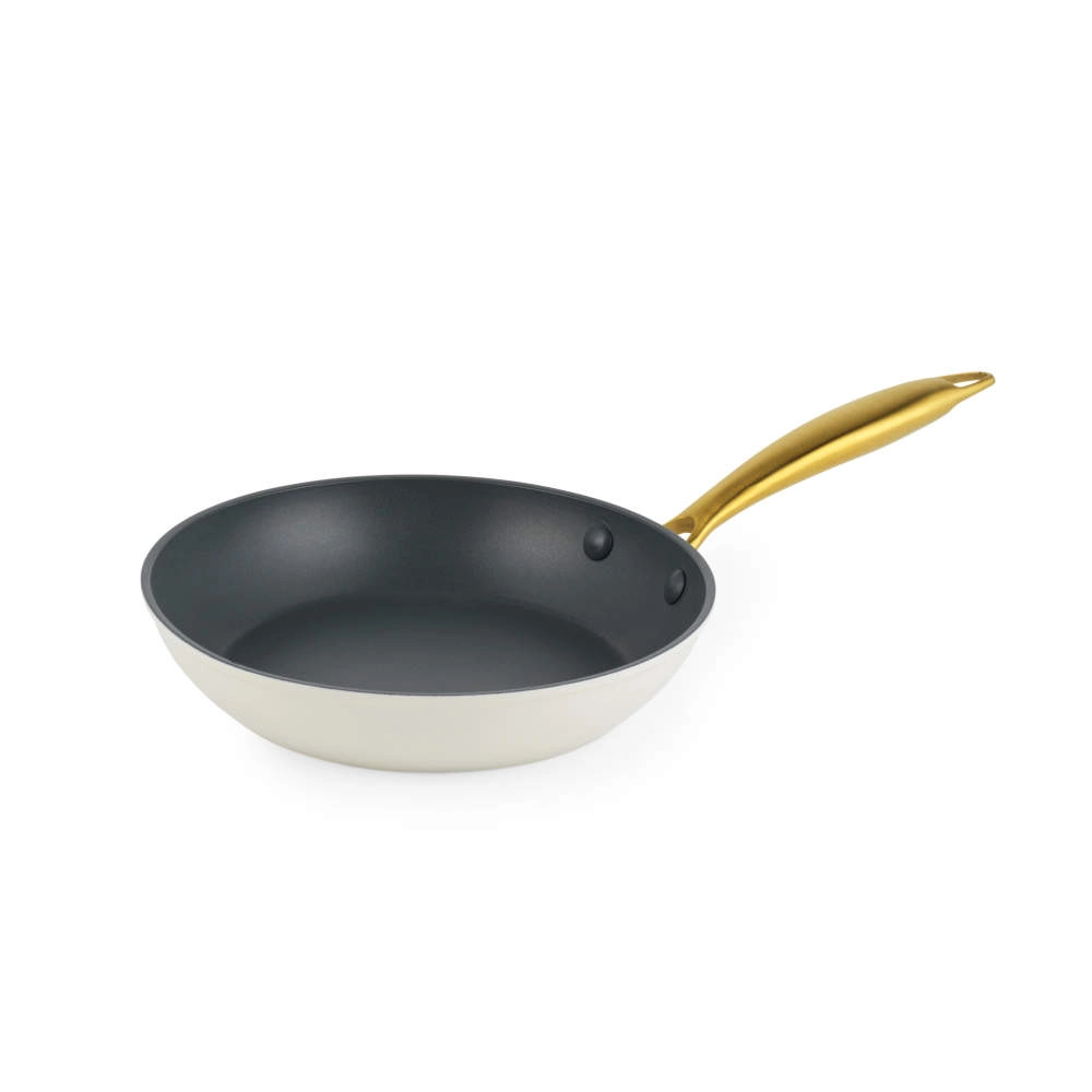 Salter BW14597 Aerotech Professional 20cm Fry