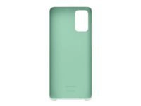 Samsung EF-PG985 mobile phone case 17
