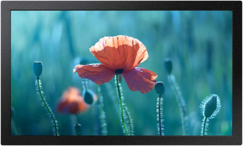 Samsung Digital Signage (LH13QBCEBGBXEN) LH13QBCEBGBXEN ULSAM013LQB23C0