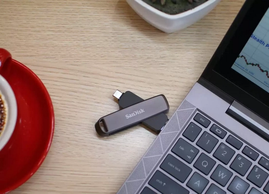 SanDisk SDDDE1-512G-G46 USB flash drive 512
