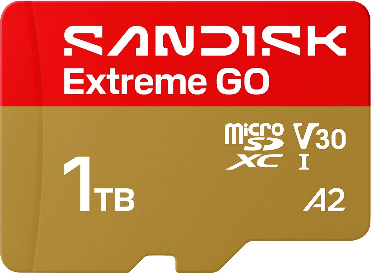 SanDisk Extreme Go - Flash memory
