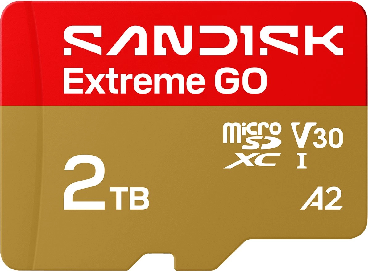 SanDisk Extreme Go - Flash memory