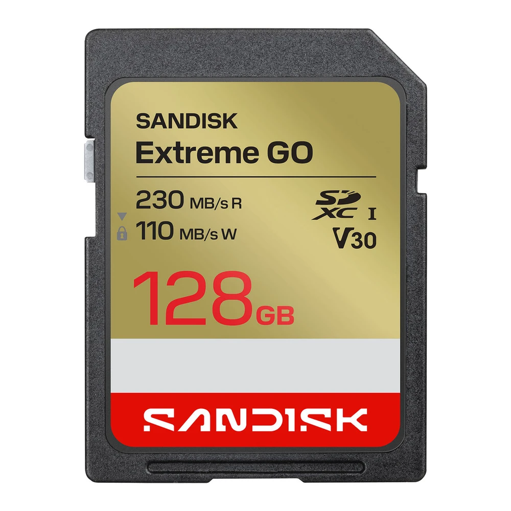 SanDisk Extreme Go - Flash Memory