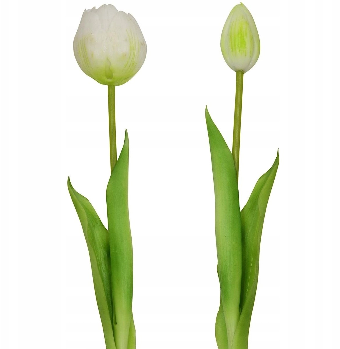 Saska Garden BOUQUET OF 5 WHITE