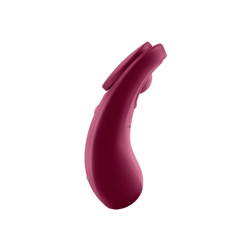 Satisfyer Sexy Secret Wand vibrator Ambidextrous