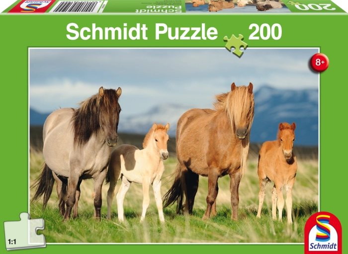 Schmidt Spiele 56199 Jigsaw puzzle 200