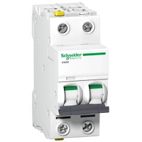 Schneider Electric Circuit breaker IC60N 2P