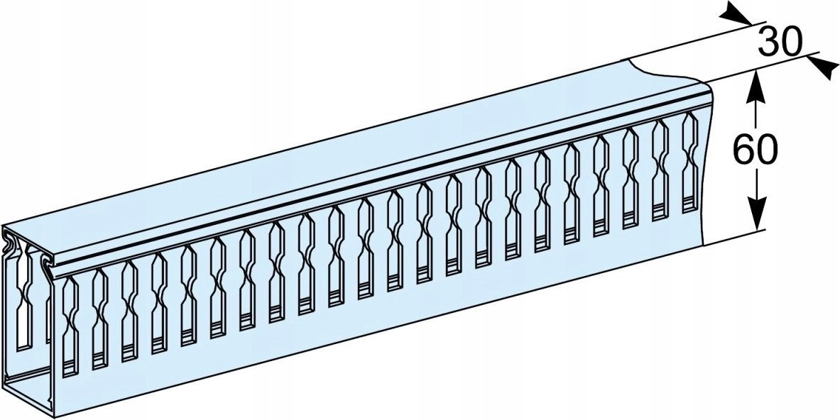 Schneider Electric Horizontal sections 60x30mm L=50+WSP