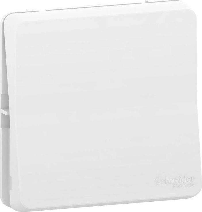 Schneider Electric Mureva Style Push Button