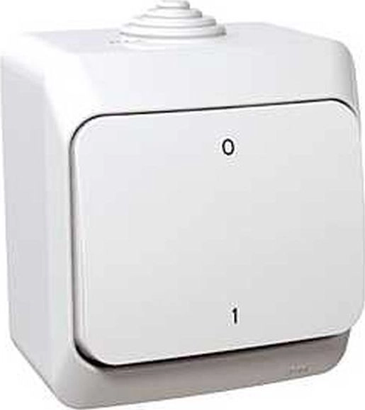 Schneider Electric Cedar Plus Łącznik dwubiegunowy